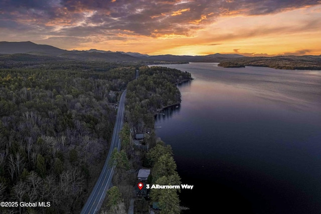 3 Alburnorm, Schroon Lake, NY 12870 - photo 8