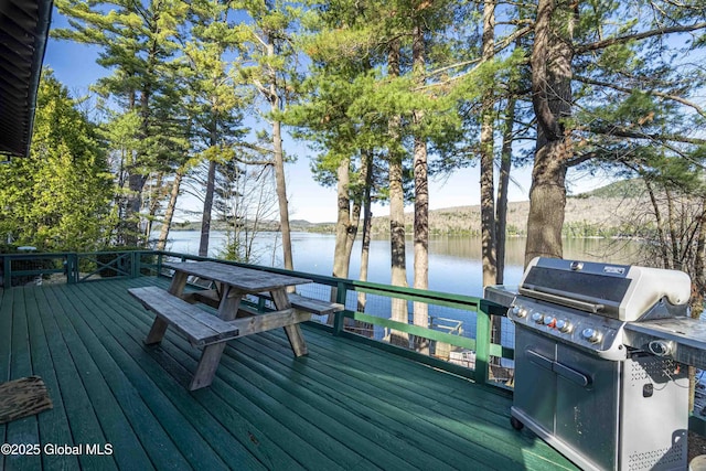3 Alburnorm, Schroon Lake, NY 12870 - photo 41