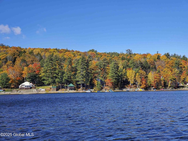 3 Alburnorm, Schroon Lake, NY 12870 - photo 49