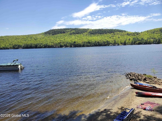 3 Alburnorm, Schroon Lake, NY 12870 - photo 44