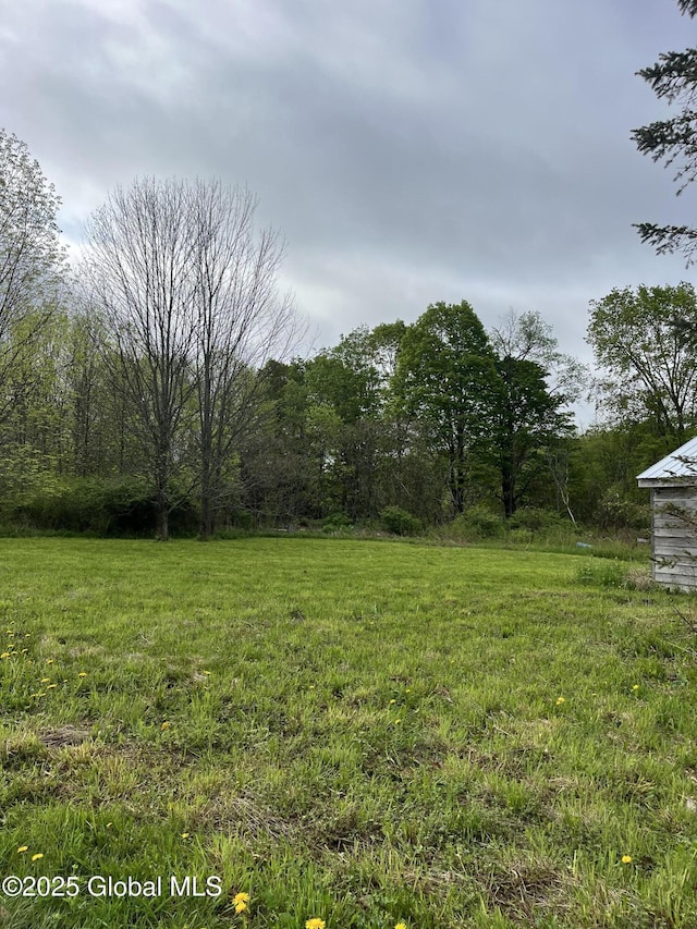 296 Evergreen Rd, Carlisle, NY 12043