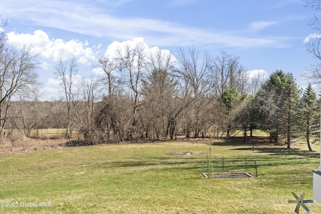 419 Brownell Rd, Malta, NY 12020 - view of yard
