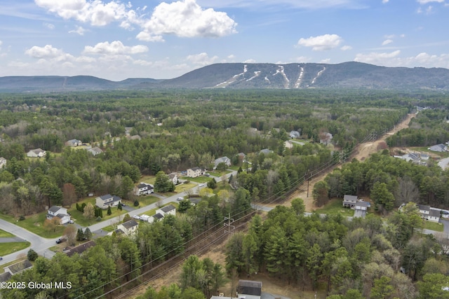bird's eye view featuring a mountain view and a forest view