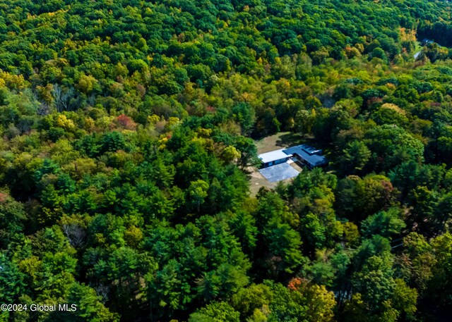 aerial view with a wooded view