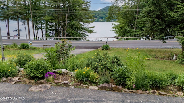 1141 N Shore Rd, Day, NY 12835 - view of yard