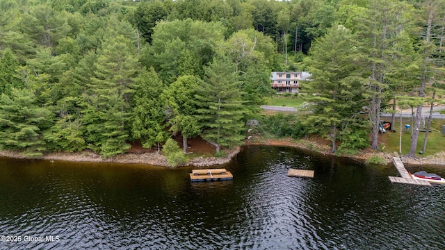 1141 N Shore Rd, Day, NY 12835 - dock area featuring a view of trees and a water view