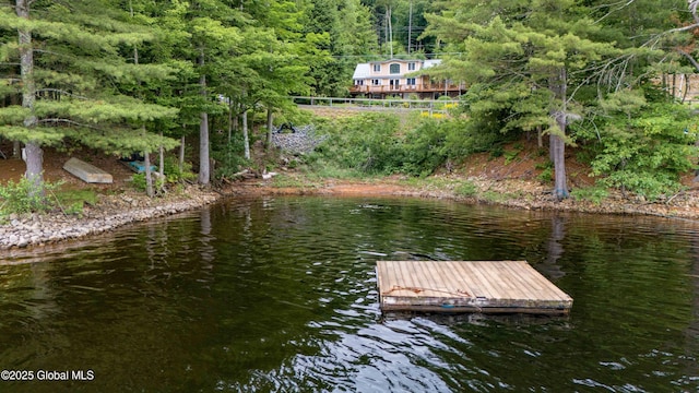 1141 N Shore Rd, Day, NY 12835 - dock with a water view and a view of trees