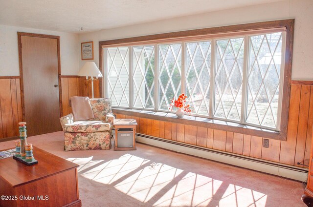 689 Old Rd, Windham, NY 12496 - photo 6