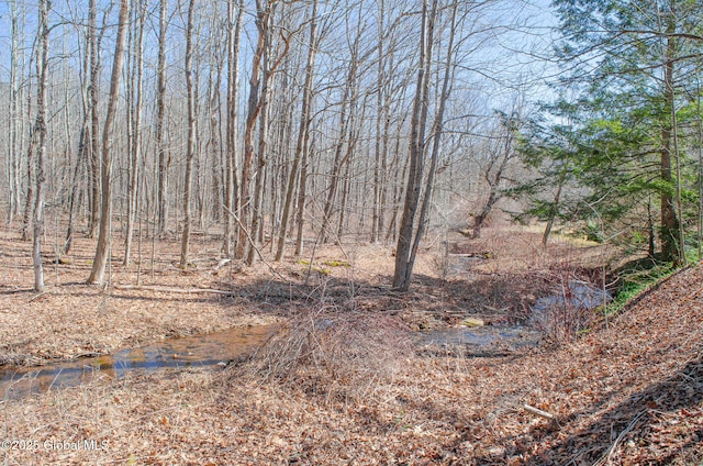 689 Old Rd, Windham, NY 12496 - photo 29