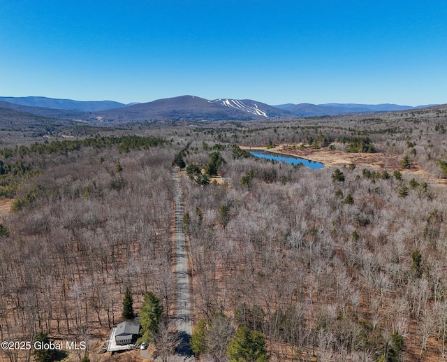 689 Old Rd, Windham, NY 12496 - photo 32