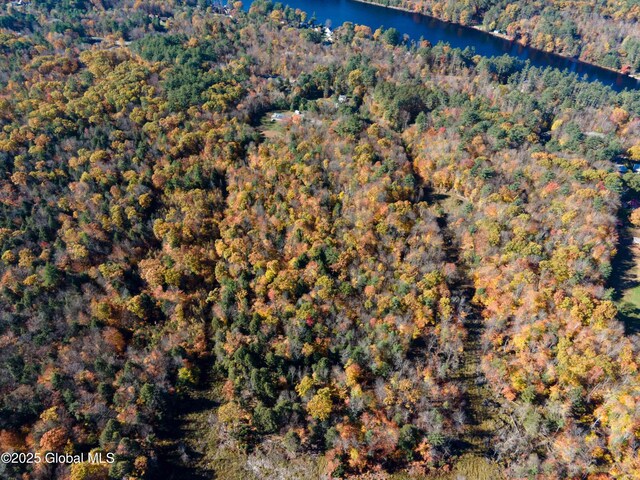 L18 E River Dr, Lake Luzerne, NY 12846