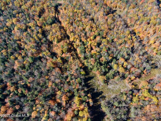 L18 E River Dr, Lake Luzerne, NY 12846