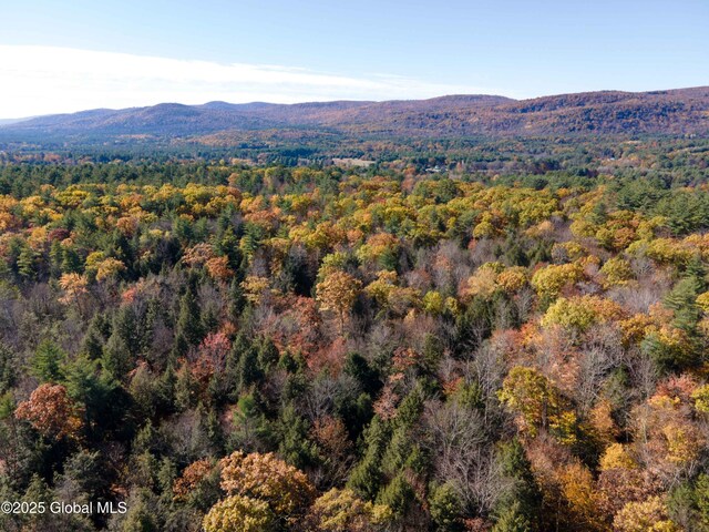L18 E River Dr, Lake Luzerne, NY 12846