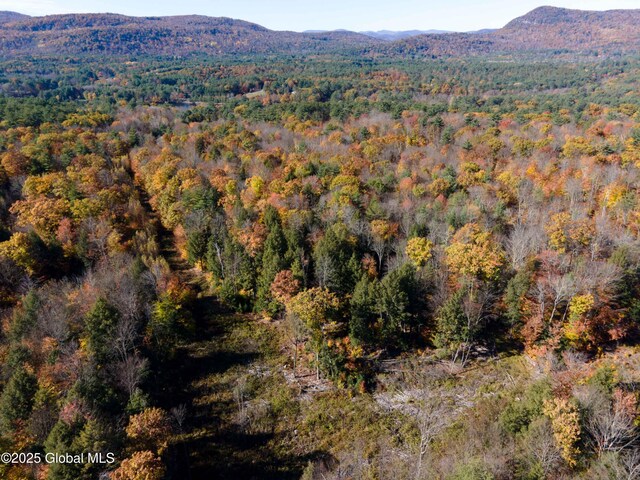 L18 E River Dr, Lake Luzerne, NY 12846