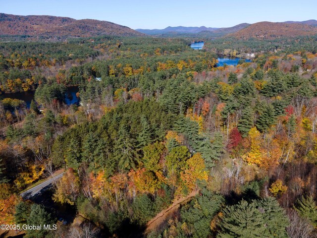 L18 E River Dr, Lake Luzerne, NY 12846