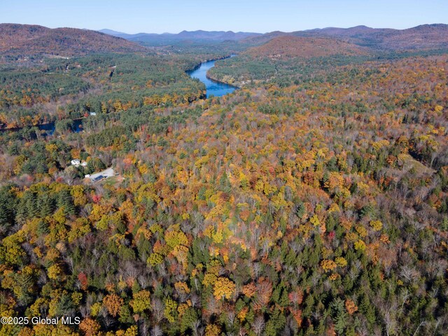 L18 E River Dr, Lake Luzerne, NY 12846