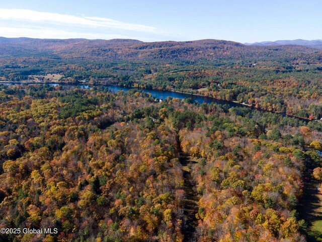 L18 E River Dr, Lake Luzerne, NY 12846