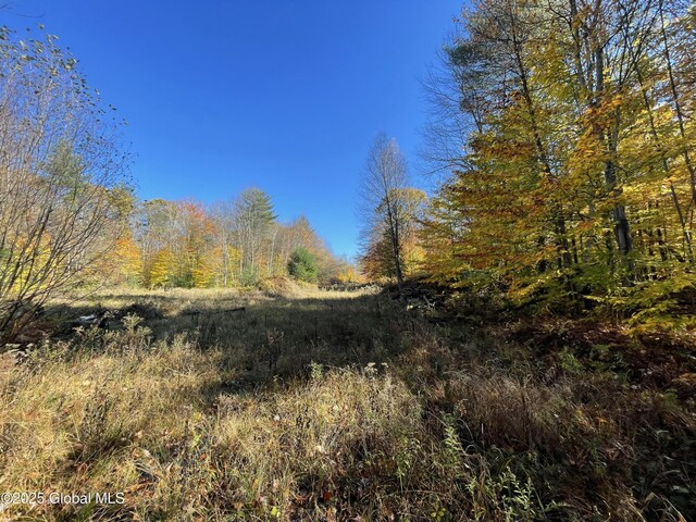 L18 E River Dr, Lake Luzerne, NY 12846
