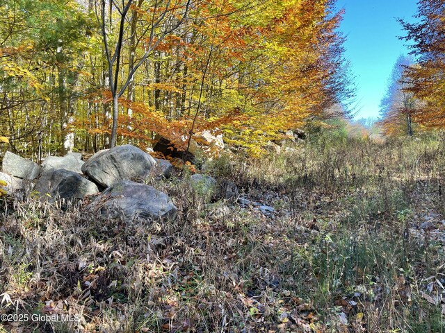 L18 E River Dr, Lake Luzerne, NY 12846