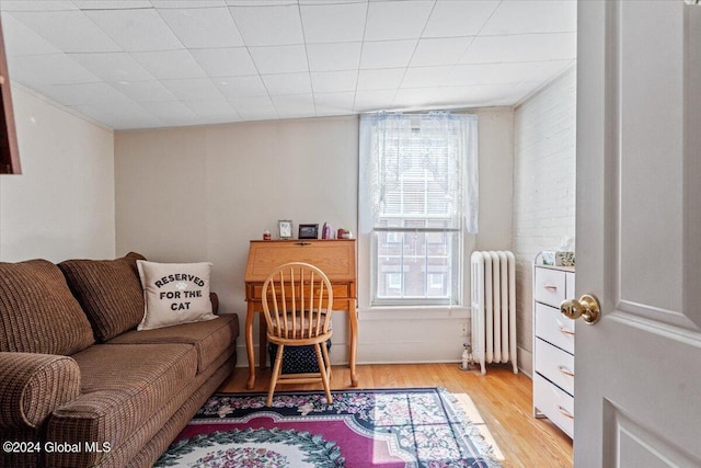 living area with light wood finished floors and radiator