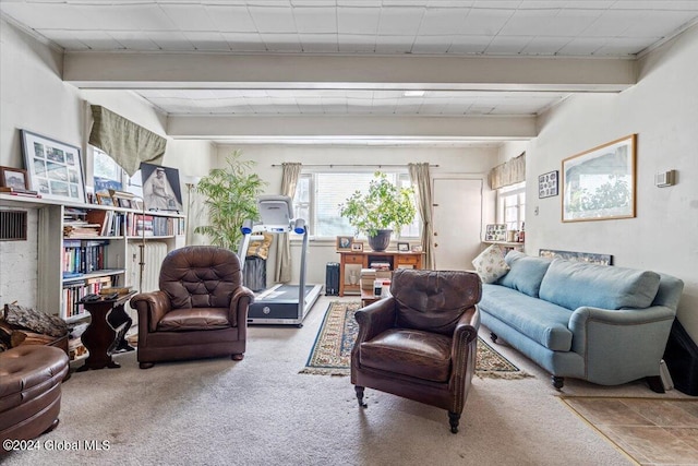 living room with carpet floors
