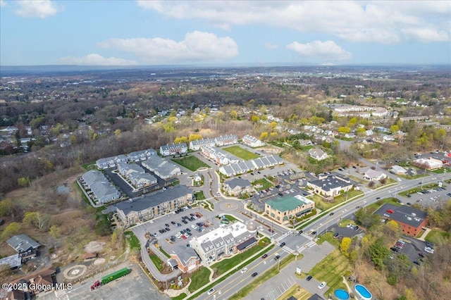 drone / aerial view