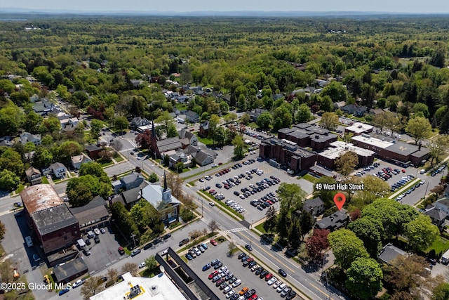 49 W High St, Ballston Spa, NY 12020 - aerial view of a heavily wooded area