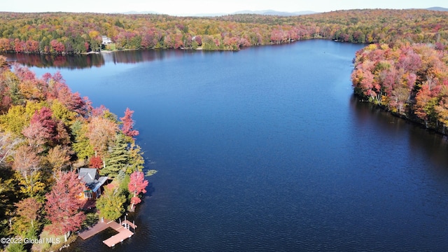 551 Maple St, Berlin, NY 12138