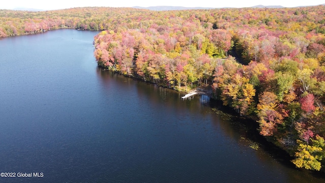 551 Maple St, Berlin, NY 12138
