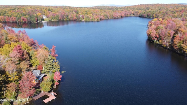 551 Maple St, Berlin, NY 12138