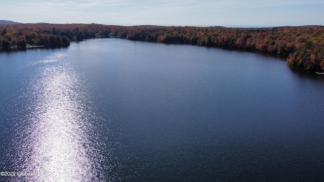 551 Maple St, Berlin, NY 12138
