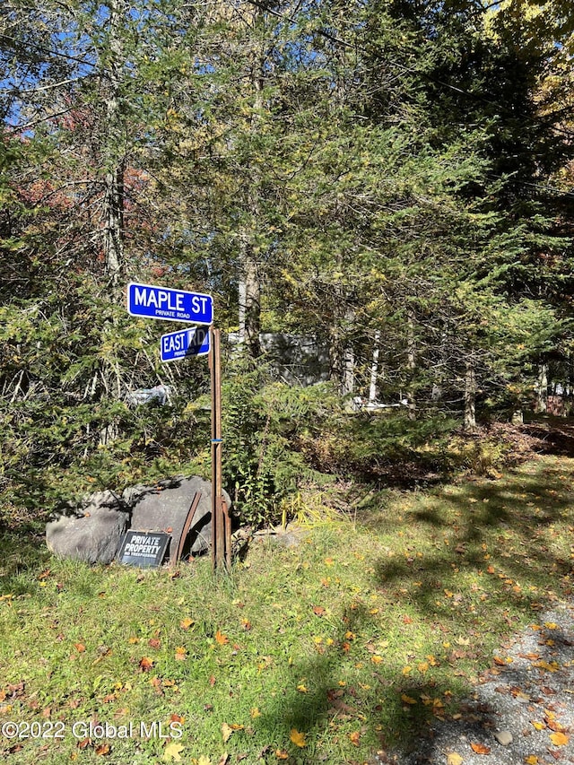551 Maple St, Berlin, NY 12138