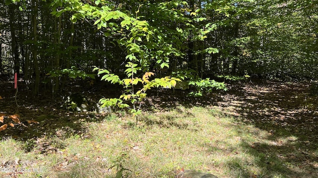 551 Maple St, Berlin, NY 12138