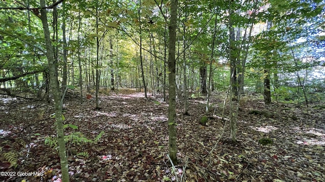 551 Maple St, Berlin, NY 12138