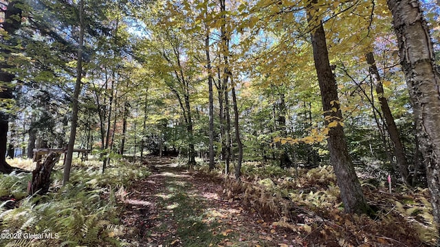 551 Maple St, Berlin, NY 12138