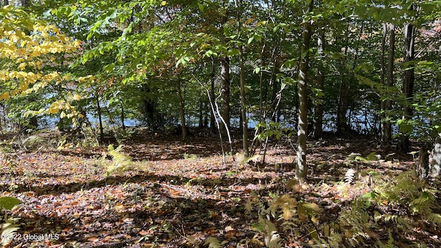 551 Maple St, Berlin, NY 12138