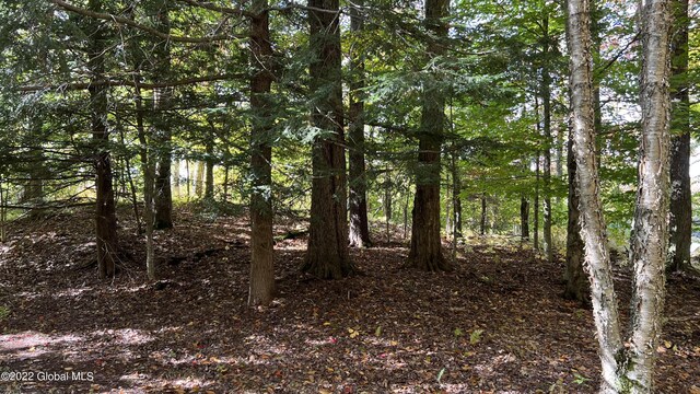 551 Maple St, Berlin, NY 12138
