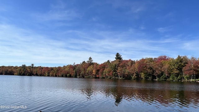 551 Maple St, Berlin, NY 12138