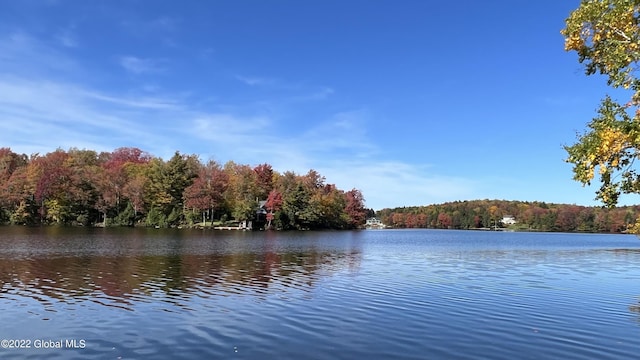 551 Maple St, Berlin, NY 12138