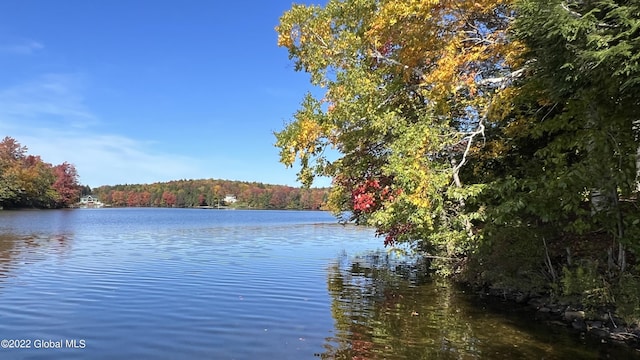 551 Maple St, Berlin, NY 12138