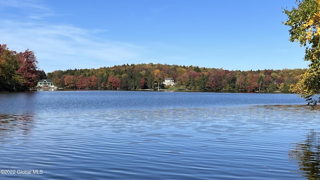 551 Maple St, Berlin, NY 12138
