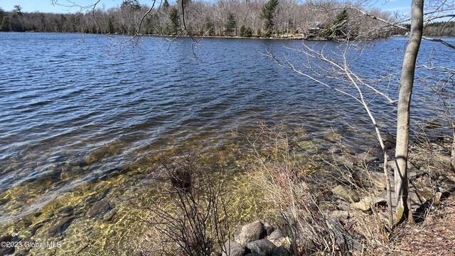 551 Maple St, Berlin, NY 12138