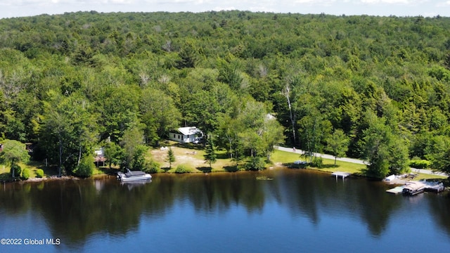 528 Dyken Pond Rd, Berlin, NY 12138