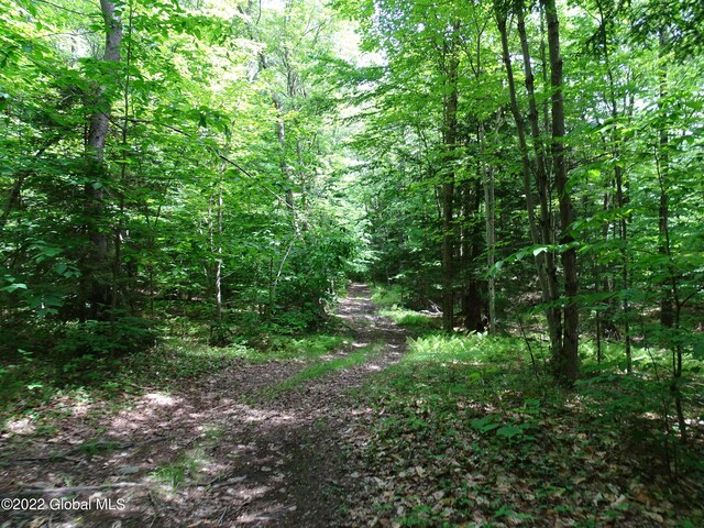 528 Dyken Pond Rd, Berlin, NY 12138