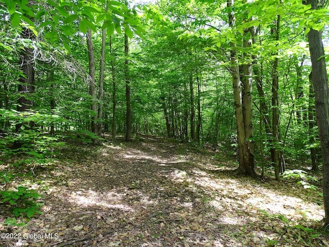 528 Dyken Pond Rd, Berlin, NY 12138
