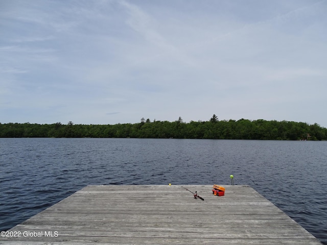 528 Dyken Pond Rd, Berlin, NY 12138