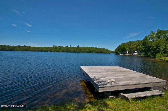 528 Dyken Pond Rd, Berlin, NY 12138