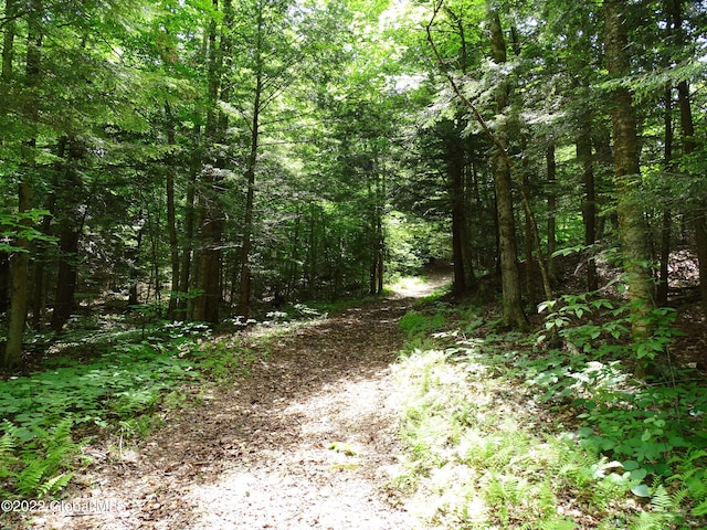 528 Dyken Pond Rd, Berlin, NY 12138