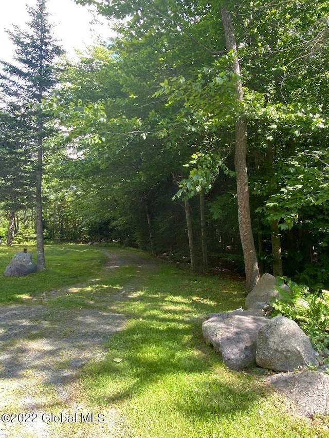 528 Dyken Pond Rd, Berlin, NY 12138
