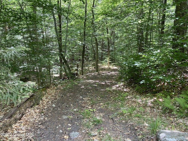 528 Dyken Pond Rd, Berlin, NY 12138